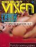 Adult magazine Big Bust Vixens Volume 1 No 2